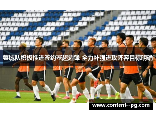 蓉城队积极推进签约塞超边锋 全力补强进攻阵容目标明确